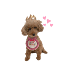 ❤️Chloe's Family❤️あいさつ編（個別スタンプ：13）