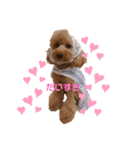 ❤️Chloe's Family❤️あいさつ編（個別スタンプ：15）