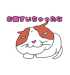 猫のキャワワ（個別スタンプ：10）