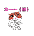 猫のキャワワ（個別スタンプ：17）