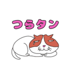 猫のキャワワ（個別スタンプ：28）