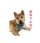 俺と悟天（個別スタンプ：4）