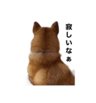 俺と悟天（個別スタンプ：6）