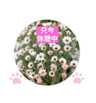 ゆきちゃんスタンプ15（個別スタンプ：8）