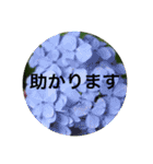 ゆきちゃんスタンプ15（個別スタンプ：21）