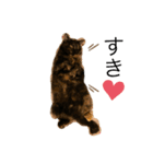 くぅ『猫』（個別スタンプ：4）