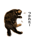 くぅ『猫』（個別スタンプ：9）