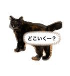 くぅ『猫』（個別スタンプ：14）