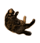 くぅ『猫』（個別スタンプ：32）