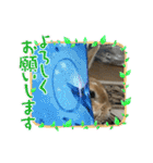 ラビちゃんず（個別スタンプ：4）