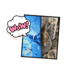 ラビちゃんず（個別スタンプ：5）