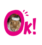 ラビちゃんず（個別スタンプ：9）