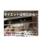 ラビちゃんず（個別スタンプ：26）