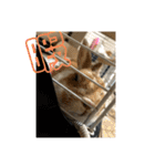 ラビちゃんず（個別スタンプ：39）