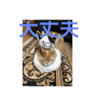 ラビちゃんず（個別スタンプ：40）