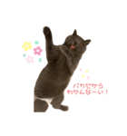 全然わからないジジちゃん（個別スタンプ：1）