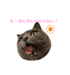 全然わからないジジちゃん（個別スタンプ：2）