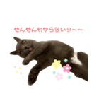 全然わからないジジちゃん（個別スタンプ：4）