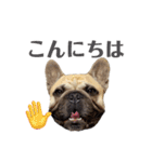 フレブルのジョージさん敬語（個別スタンプ：3）