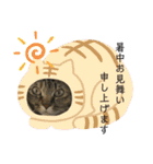 neco×neco（個別スタンプ：7）