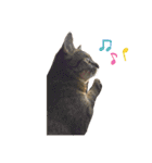 neco×neco（個別スタンプ：8）