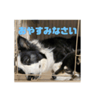 リィリー＆まめスタンプ（個別スタンプ：26）