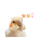 NutsとRUI（個別スタンプ：5）