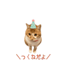 つくね スタンプ ふたつめ（個別スタンプ：1）