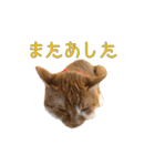つくね スタンプ ふたつめ（個別スタンプ：5）