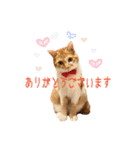 つくね スタンプ ふたつめ（個別スタンプ：6）
