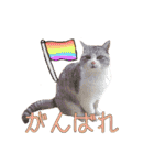 つくね スタンプ ふたつめ（個別スタンプ：16）