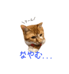 つくね スタンプ ふたつめ（個別スタンプ：24）