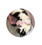 Luna（個別スタンプ：6）