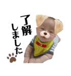 A.Ifamily Sticker3（個別スタンプ：3）