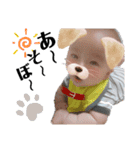 A.Ifamily Sticker3（個別スタンプ：4）