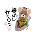 A.Ifamily Sticker3（個別スタンプ：5）
