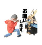 A.Ifamily Sticker3（個別スタンプ：21）