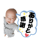 A.Ifamily Sticker3（個別スタンプ：31）