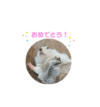 リチャードソンジリスのとろろ（個別スタンプ：22）