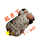 らいちゃん’Sスタンプ2（個別スタンプ：12）