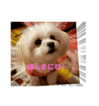 LUNA＆SEAちょっと会話～（個別スタンプ：1）