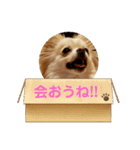 LUNA＆SEAちょっと会話～（個別スタンプ：5）