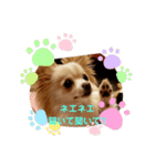 LUNA＆SEAちょっと会話～（個別スタンプ：6）