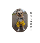 最愛の息子犬③（個別スタンプ：2）