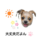 最愛の息子犬③（個別スタンプ：5）