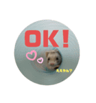 フェレットのりんちゃん（個別スタンプ：3）