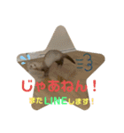 フェレットのりんちゃん（個別スタンプ：8）