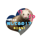 フェレットのりんちゃん（個別スタンプ：9）