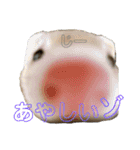 フェレットのりんちゃん（個別スタンプ：16）