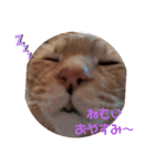 ふうちゃんの巻 Part1（個別スタンプ：1）